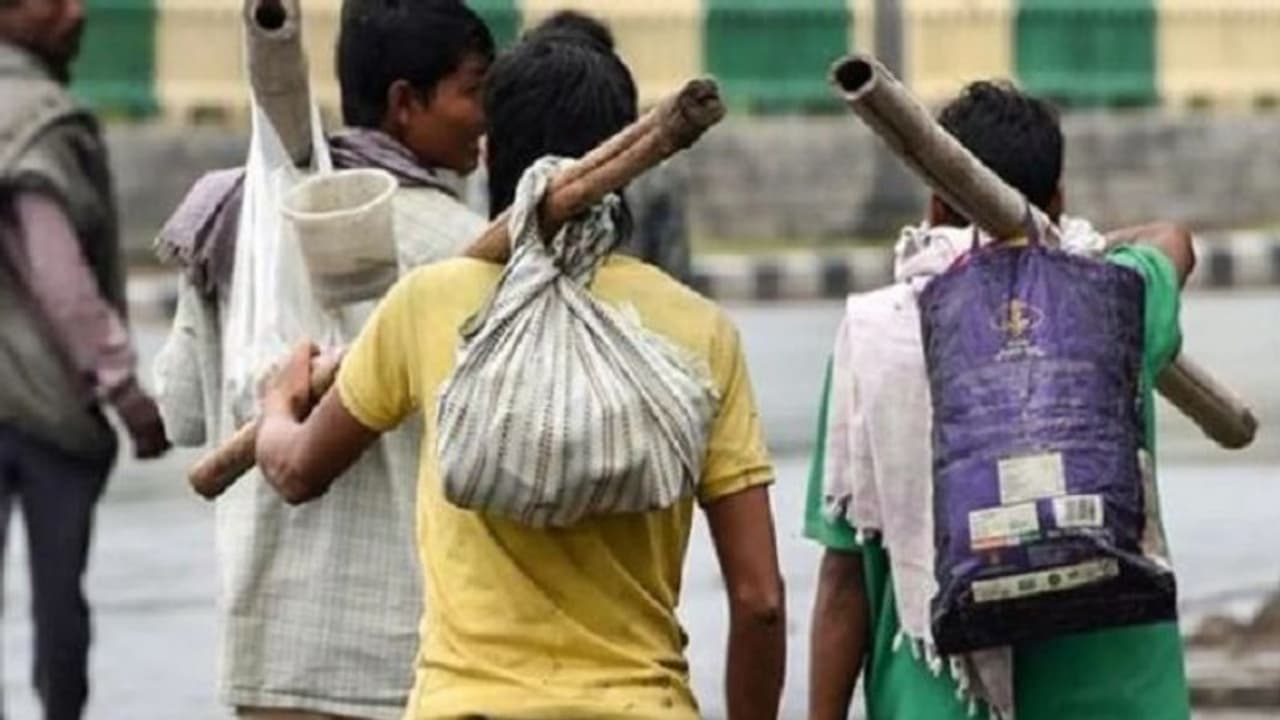 अल्मोड़ा: काम करने वाले मजदूरों को अब कराना होगा रजिस्ट्रेशन, अपराधों पर नियंत्रण करने में मिलेगी मदद 