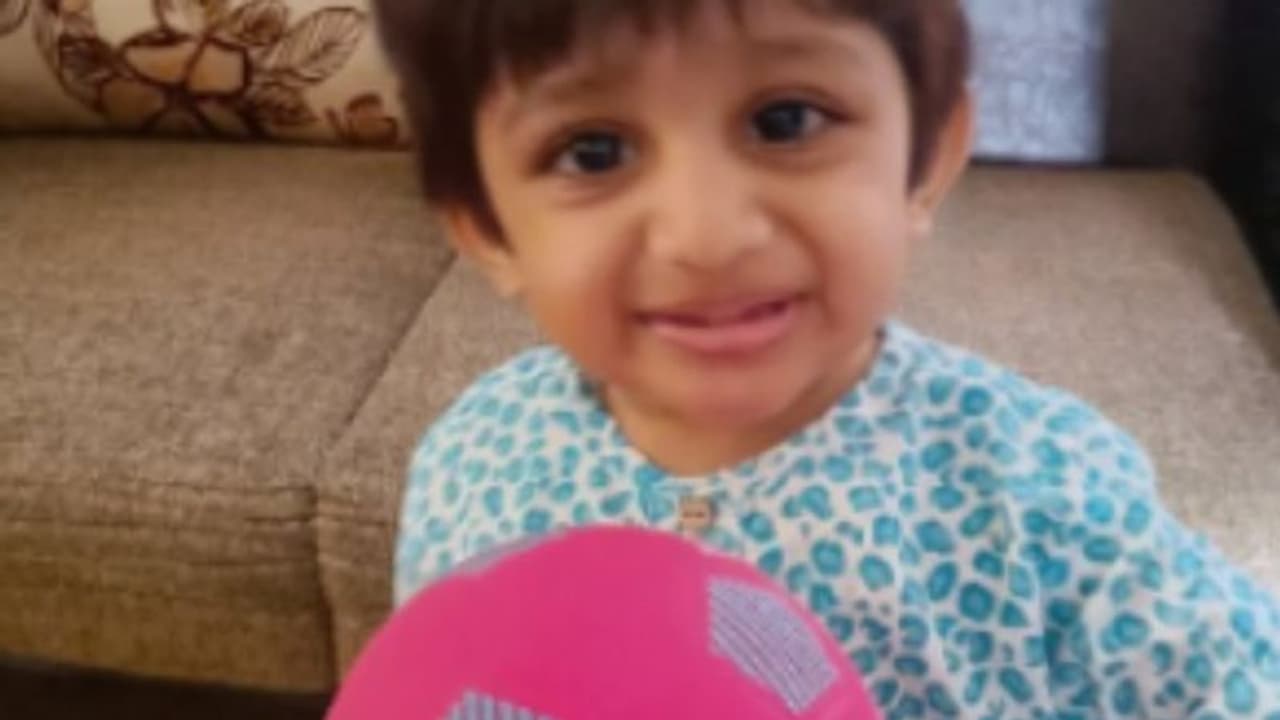 Meghna Raj : 'ഞാനും ചീരുവും വളർന്നത് പോലെ റയാനും വളരട്ടേ', വീഡിയോ പങ്കുവെച്ച് മേഘ്‍ന രാജ്