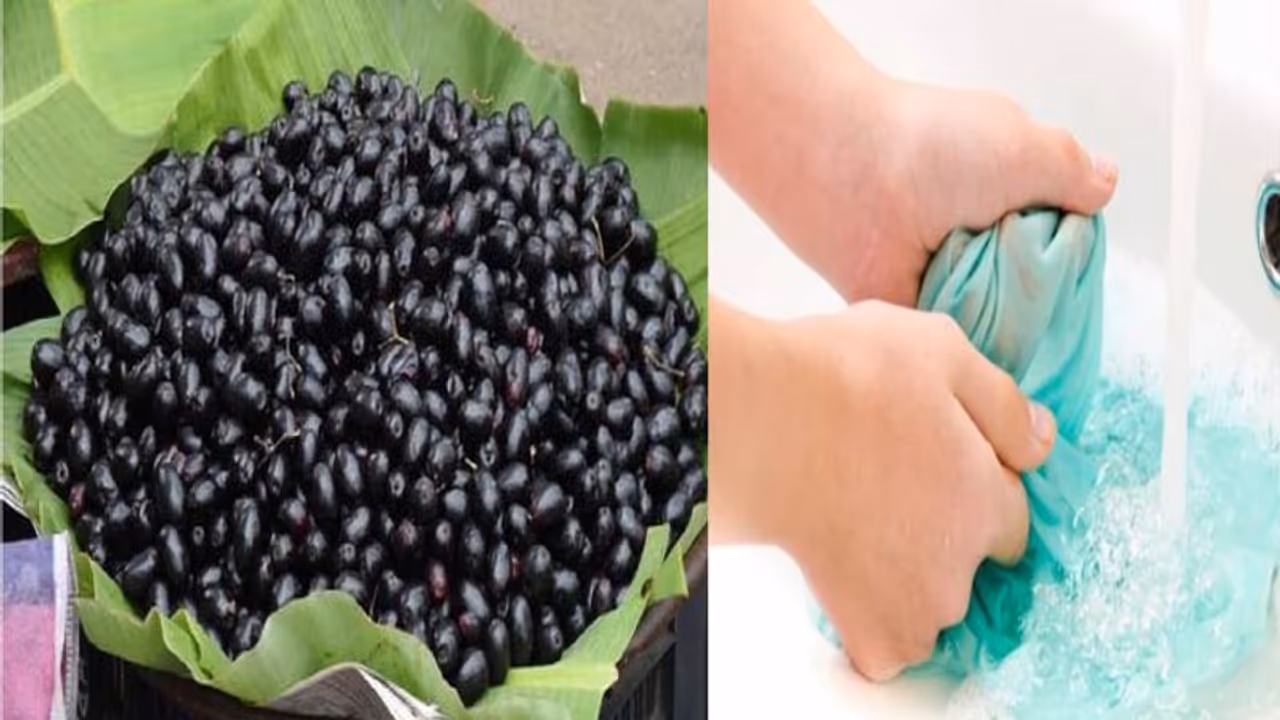 इन 2 चीजों की मदद से जामुन के जिद्दी दाग को करें साफ, चमक उठेंगे कपड़े