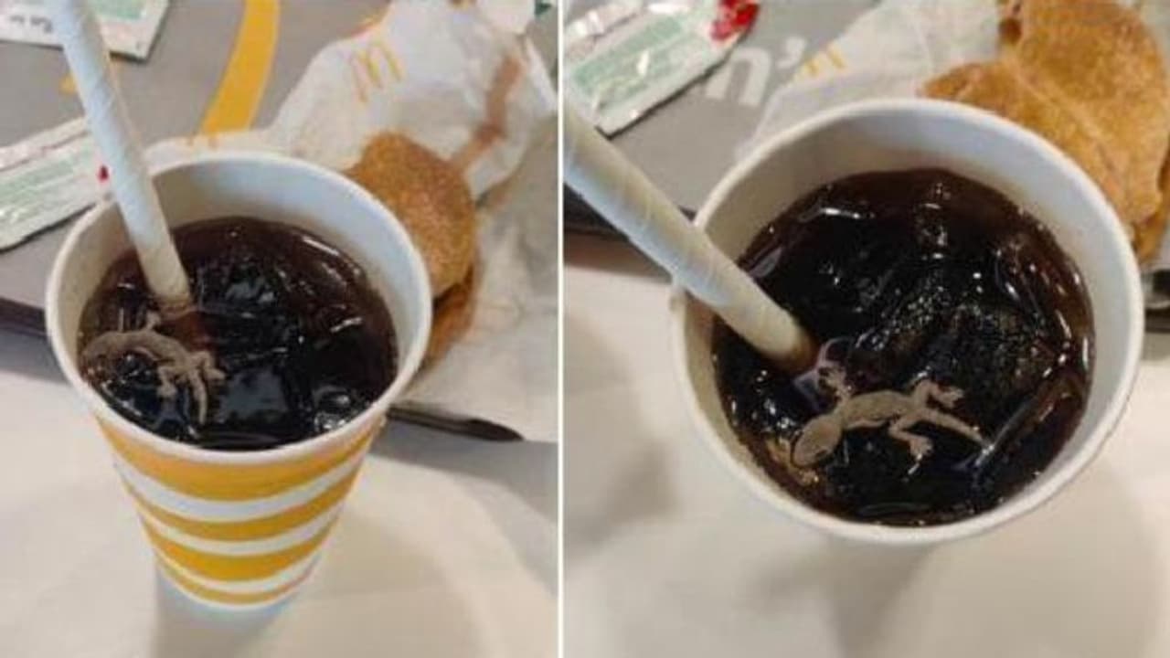 Lizard in Food : ശീതളപാനീയത്തിൽ ചത്ത പല്ലി; പരാതിയുമായി യുവാവ്