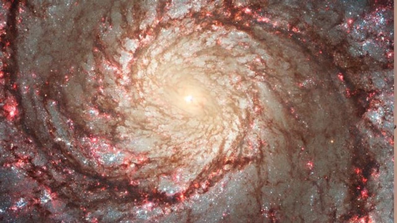 এ কার 'লাল চোখ', পৃথিবী থেকে কোটি কোটি আলোকবর্ষ দূরে এক অবাক করা ছায়াপথের হদিশ পেল নাসা এ কার 'লাল চোখ', পৃথিবী থেকে কোটি কোটি আলোকবর্ষ দূরে এক অবাক করা ছায়াপথের হদিশ পেল নাসা