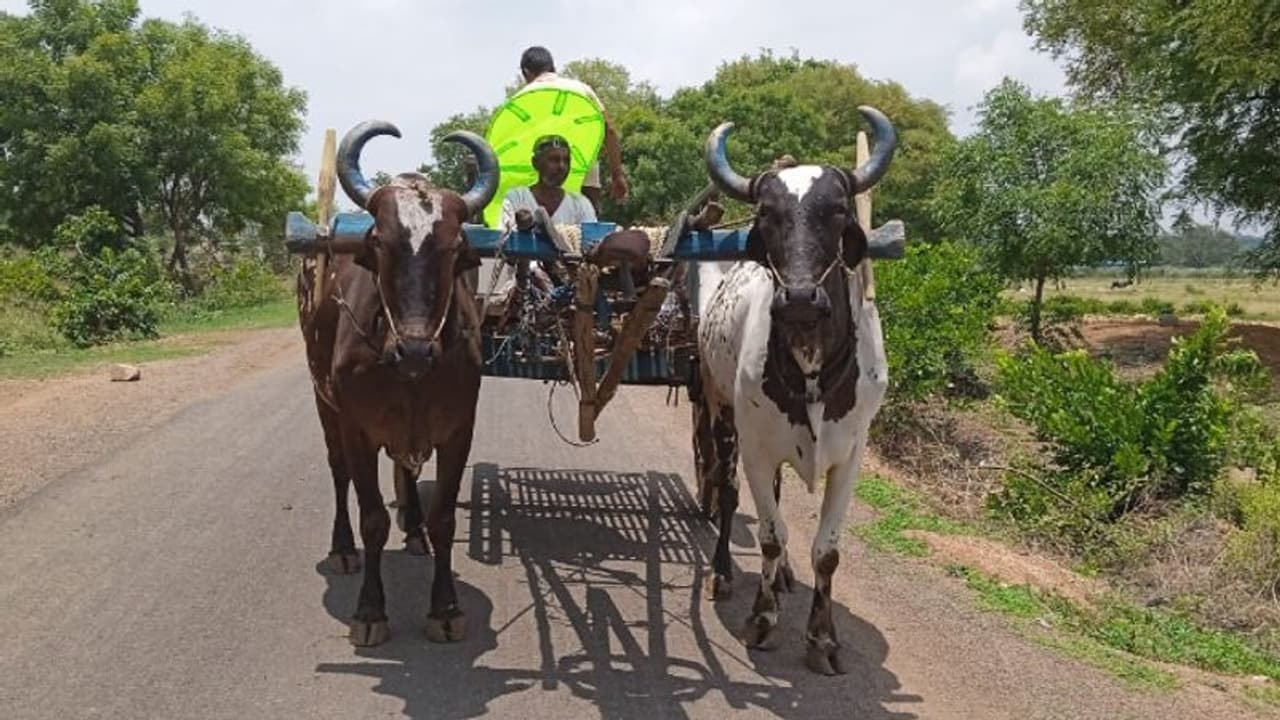 ఎండలో పనిచేయడం చాలా కష్టం.. వారి కోసమే మా ‘‘నీడ’’: కొండా విశ్వేశ్వర్ రెడ్డి ఎండలో పనిచేయడం చాలా కష్టం.. వారి కోసమే మా ‘‘నీడ’’: కొండా విశ్వేశ్వర్ రెడ్డి