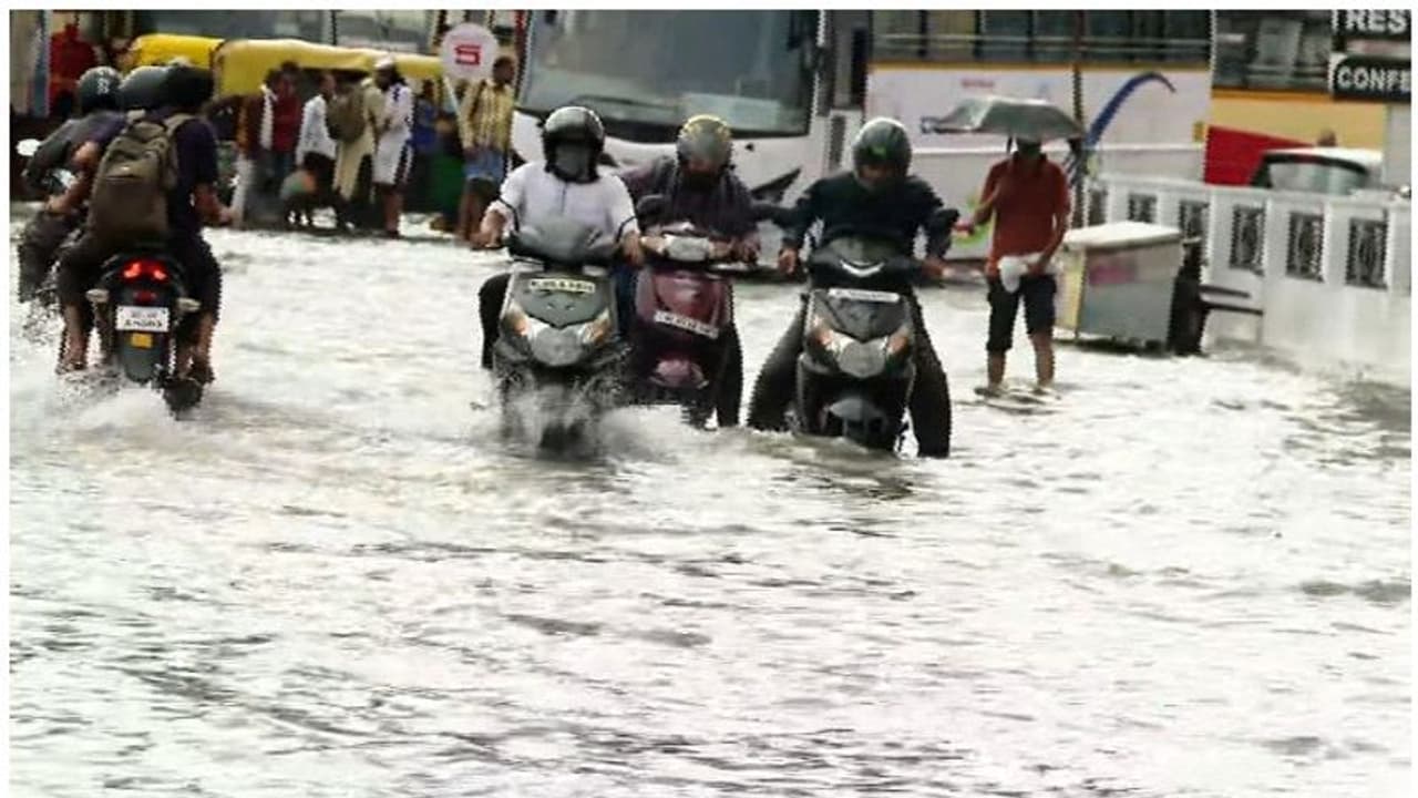 Kerala Rain : തിരുവനന്തപുരത്തും എറണാകുളത്തും മഴ; കൊച്ചിയിൽ വീണ്ടും വെള്ളക്കെട്ട്, 5 ജില്ലകളിൽ മഴ മുന്നറിയിപ്പ്