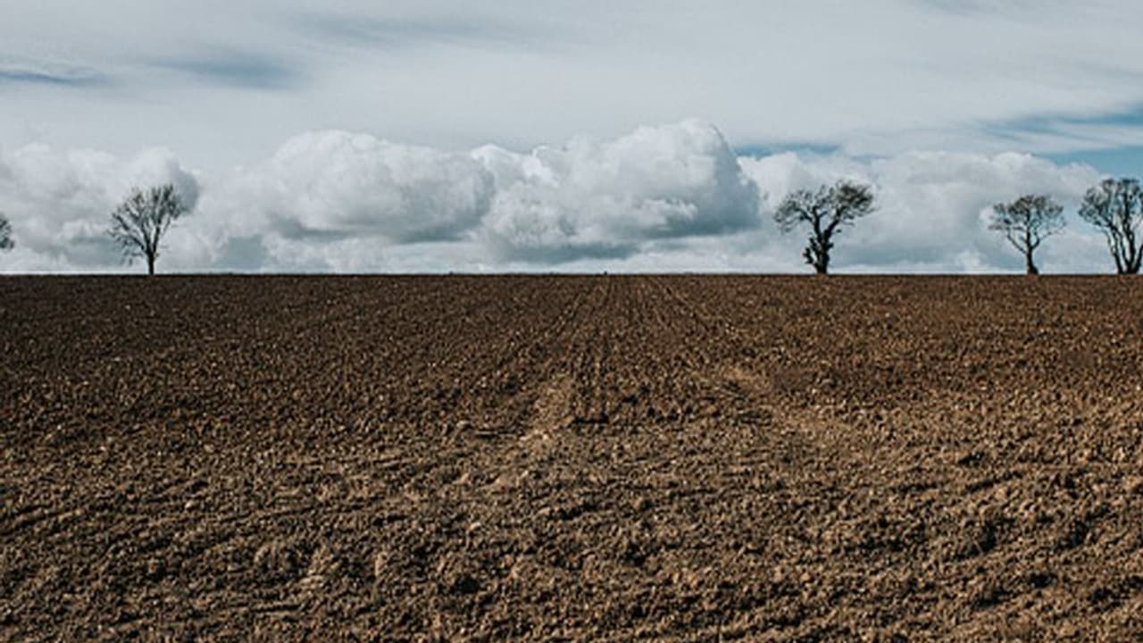 ಮಂಡ್ಯ ಜಿಲ್ಲೆಯಲ್ಲಿ 21,899 ಹೆಕ್ಟೇರ್ ಮಣ್ಣು ಫಲವತ್ತತೆ ಕ್ಷೀಣ..! ಮಂಡ್ಯ ಜಿಲ್ಲೆಯಲ್ಲಿ 21,899 ಹೆಕ್ಟೇರ್ ಮಣ್ಣು ಫಲವತ್ತತೆ ಕ್ಷೀಣ..!