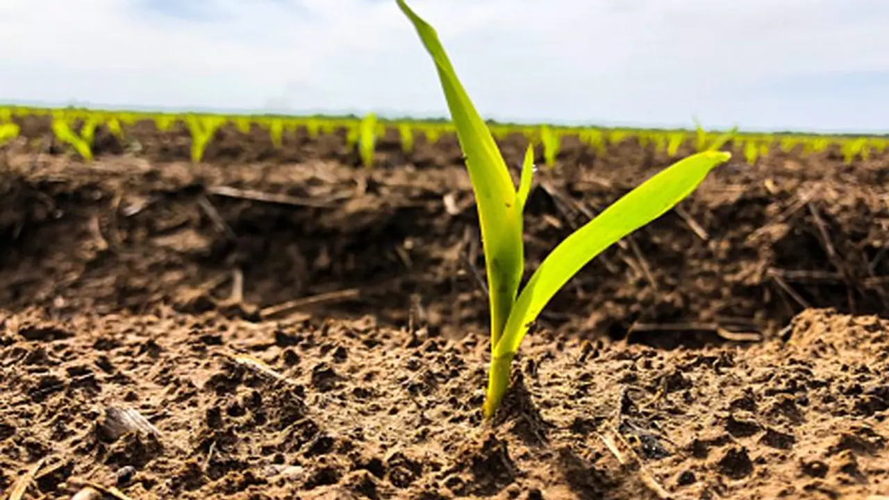 ದೇವರಾಯನದುರ್ಗ ಅರಣ್ಯ ಒತ್ತುವರಿ: ಸರ್ಕಾರಕ್ಕೆ ನೋಟಿಸ್ ದೇವರಾಯನದುರ್ಗ ಅರಣ್ಯ ಒತ್ತುವರಿ: ಸರ್ಕಾರಕ್ಕೆ ನೋಟಿಸ್