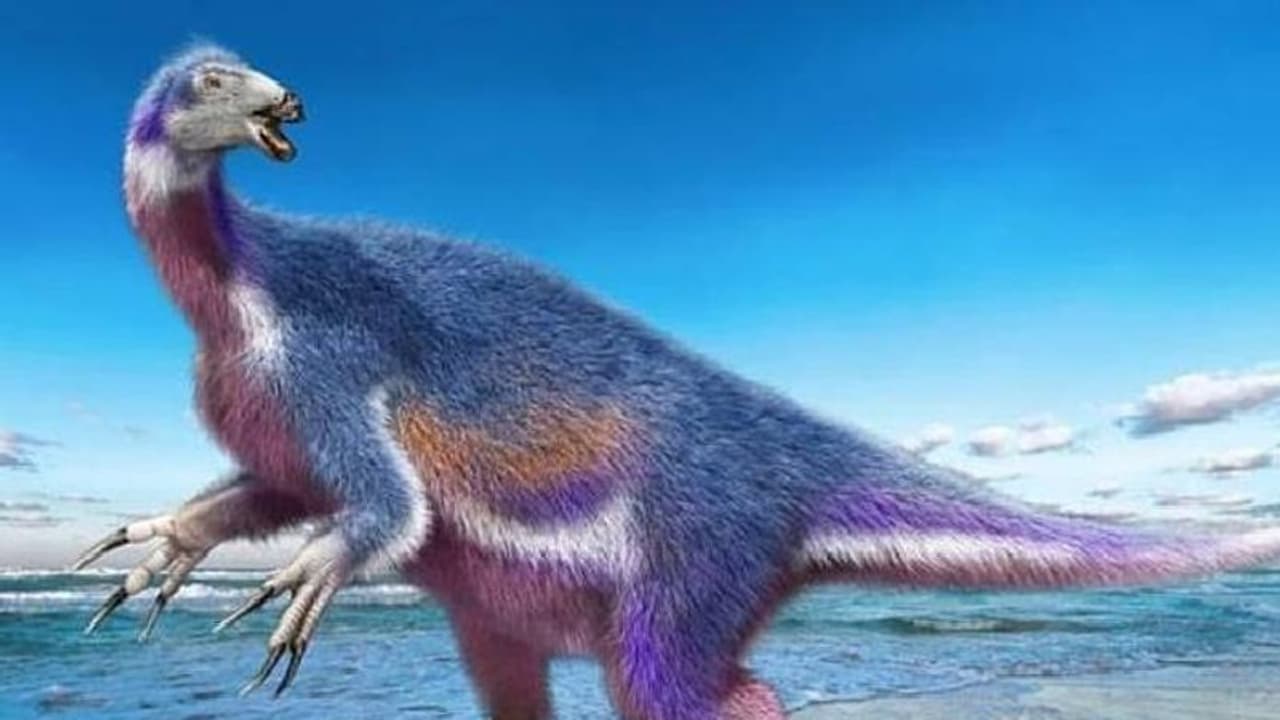 സസ്യഭുക്കുകളായ ദിനോസറുകളോ? പുതിയ കണ്ടെത്തലുമായി ഗവേഷകർ സസ്യഭുക്കുകളായ ദിനോസറുകളോ? പുതിയ കണ്ടെത്തലുമായി ഗവേഷകർ