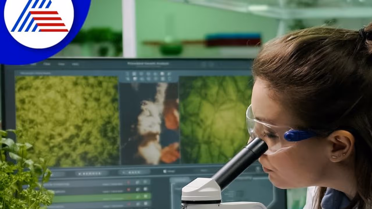 ಅಗ್ರಿಕಲ್ಚರ್ ಎಂಜನಿಯರಿಂಗ್ ಓದಿದರೆ ಎಷ್ಟೆಲ್ಲಾ ನೌಕರಿಗಳಿವೆ?