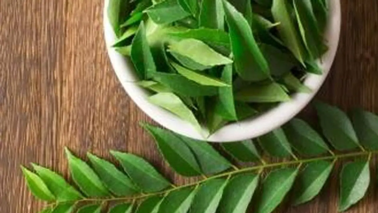  Curry Leaves : അറിയാം കറിവേപ്പിലയുടെ ആരോ​ഗ്യ​ഗുണങ്ങളെ കുറിച്ച്...