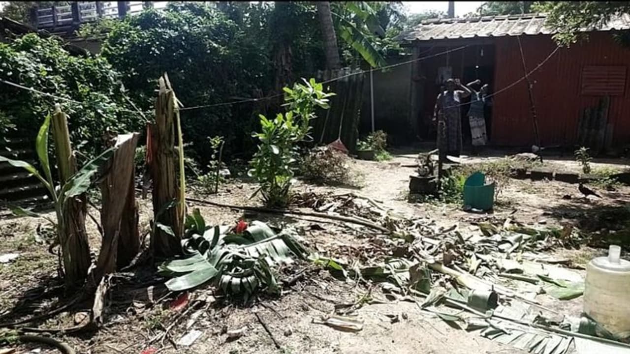 അമ്പലപ്പുഴയിൽ 'വെട്ടിനിരത്തൽ' ഭീതി; വീട്ടുപറമ്പുകളിലെ ഫലവൃക്ഷങ്ങൾ വെട്ടിനശിപ്പിച്ച നിലയിൽ