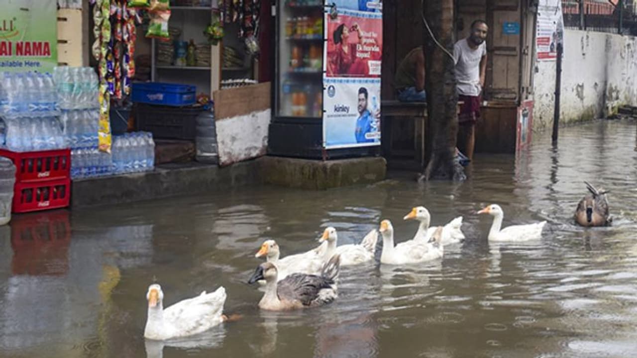बिना किसी बाधा के आगे बढ़ रहा मानसून, एक खास सिस्टम के कारण गर्मी और लू से मिलती रहेगी राहत बिना किसी बाधा के आगे बढ़ रहा मानसून, एक खास सिस्टम के कारण गर्मी और लू से मिलती रहेगी राहत
