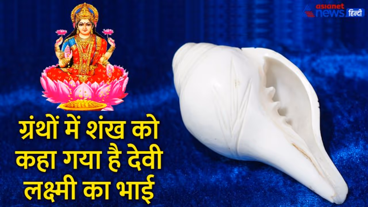 हाथ में शंख का निशान होना मतलब चमत्कार, जानें हथेली पर कहां होने पर इसका कैसा मिलता है फायदा हाथ में शंख का निशान होना मतलब चमत्कार, जानें हथेली पर कहां होने पर इसका कैसा मिलता है फायदा