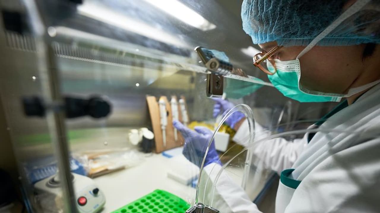 Covid Origin:ಚೀನಾ ಪ್ರಯೋಗಾಲಯದಿಂದ ಕೊರೋನಾ ವೈರಸ್ ಸೋರಿಕೆ ವಾದ ತಳ್ಳಿ ಹಾಕಲ್ಲ: ಡಬ್ಲ್ಯು ಎಚ್ ಒ