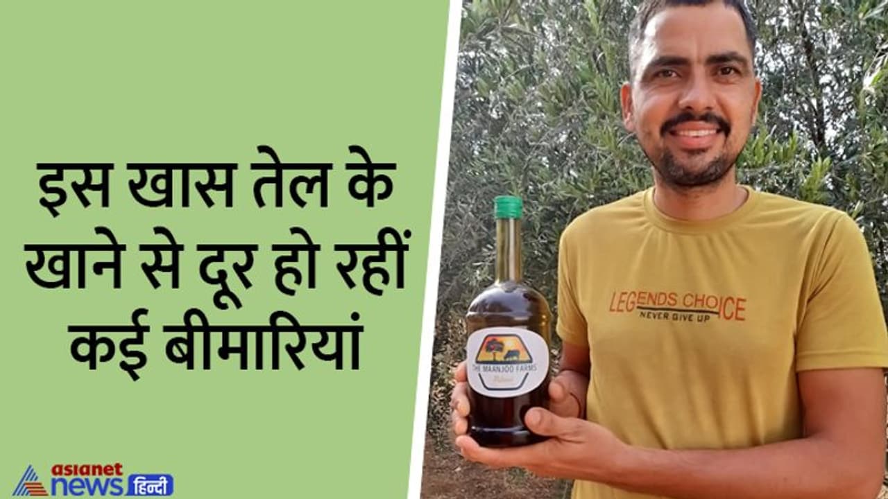 स्किन का ग्लो मोटापा कम कर रहा राजस्थान का ये खास तेल, 5 और 7 स्टार होटल में बढ़ी डिमांड, 2 हजार का 1 लीटर स्किन का ग्लो मोटापा कम कर रहा राजस्थान का ये खास तेल, 5 और 7 स्टार होटल में बढ़ी डिमांड, 2 हजार का 1 लीटर