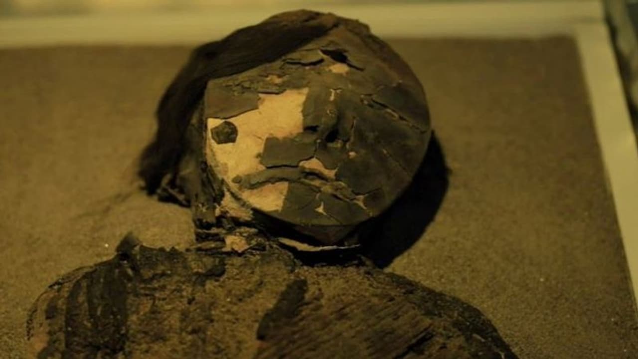 रेगिस्तान में इस मुद्रा में मिला हजारों साल पुराना कंकाल, सूखी चमड़ी और सिर पर बाल देख हैरान हैं अधिकारी रेगिस्तान में इस मुद्रा में मिला हजारों साल पुराना कंकाल, सूखी चमड़ी और सिर पर बाल देख हैरान हैं अधिकारी