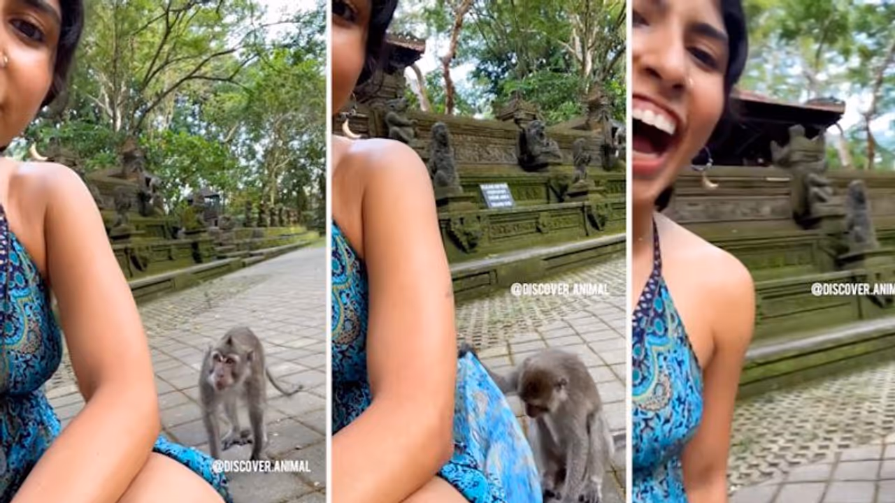 Watch: Mischievous monkey lifts a woman’s dress while capturing a video