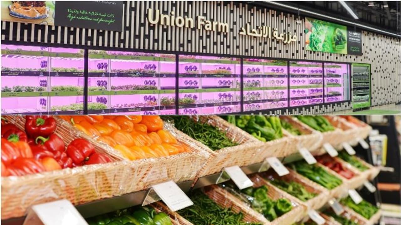 യൂണിയന്‍ കോപ്; ദിവസവും സ്റ്റോറുകളിലെത്തുന്നത് 95 ഫാമുകളില്‍ നിന്നുള്ള 100 ടണ്‍ ഫ്രഷ് പച്ചക്കറികളും പഴങ്ങളും