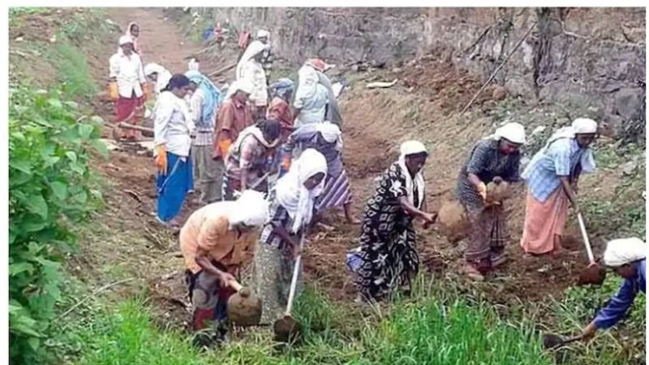 കേന്ദ്രത്തേക്കാൾ ഒരുപടി മുന്നിൽ തന്നെ! കണക്കുകള്‍ പുറത്ത് വിട്ട് മുഖ്യമന്ത്രി, തൊഴിലുറപ്പിലെ 'കേരള മോഡൽ'