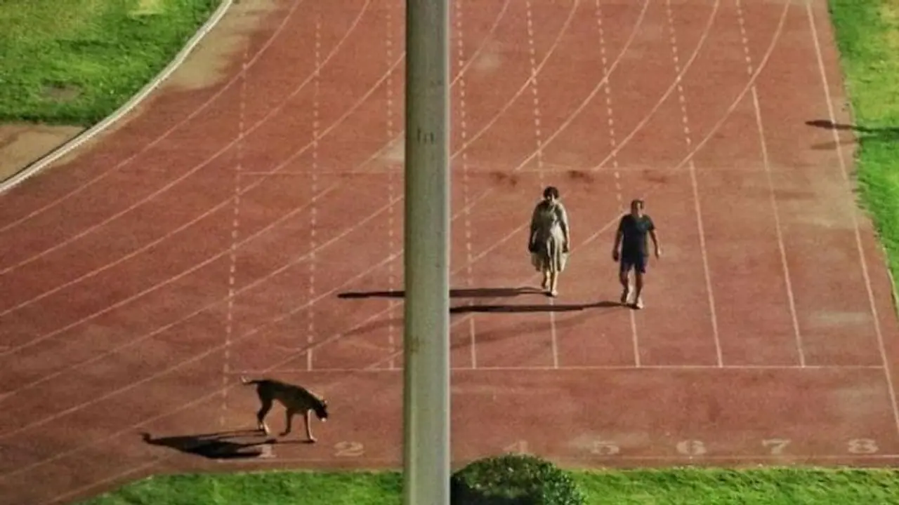 ನಾಯಿ ಜೊತೆ ವಾಕಿಂಗ್ ಮಾಡಲು ಕ್ರೀಡಾಪಟುಗಳ ಹೊರಗಟ್ಟಿದ ಅಧಿಕಾರಿ ಈಗ ಪತ್ನಿಯಿಂದ 3500ಕಿ. ಮೀ ದೂರ! ನಾಯಿ ಜೊತೆ ವಾಕಿಂಗ್ ಮಾಡಲು ಕ್ರೀಡಾಪಟುಗಳ ಹೊರಗಟ್ಟಿದ ಅಧಿಕಾರಿ ಈಗ ಪತ್ನಿಯಿಂದ 3500ಕಿ. ಮೀ ದೂರ!