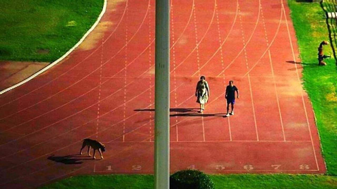 ഐഎഎസ് ദമ്പതികള്‍ക്ക് നായക്കൊപ്പം നടക്കാനായി സ്റ്റേഡിയം ഒഴിപ്പിച്ച സംഭവം; കടുത്ത ശിക്ഷാനടപടിയുമായി കേന്ദ്രം