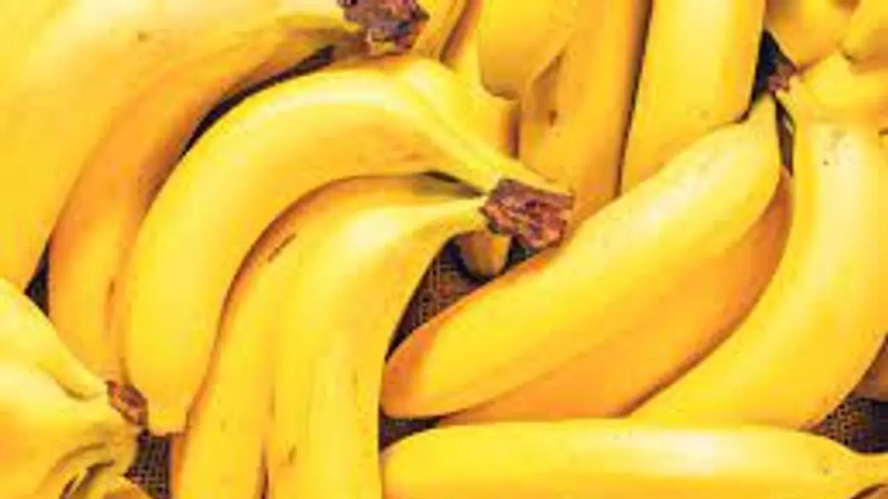 হাড় মজবুত করতে চান? তাহলে রোজ পাতে রাখুন একটা করে কলা হাড় মজবুত করতে চান? তাহলে রোজ পাতে রাখুন একটা করে কলা