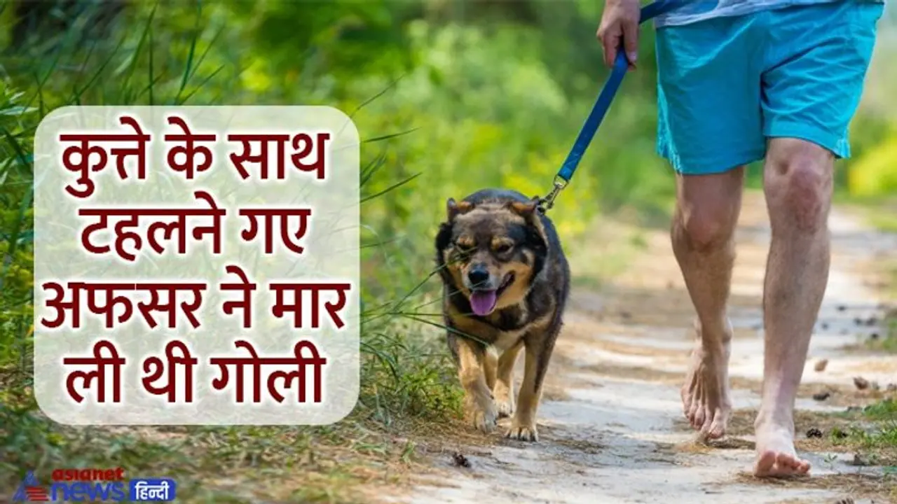 इस रेल रूट पर आने वाली सुरंग में भटकती है आत्मा, कुत्ते के साथ टहलने गए अफसर ने मार ली गोली इस रेल रूट पर आने वाली सुरंग में भटकती है आत्मा, कुत्ते के साथ टहलने गए अफसर ने मार ली गोली