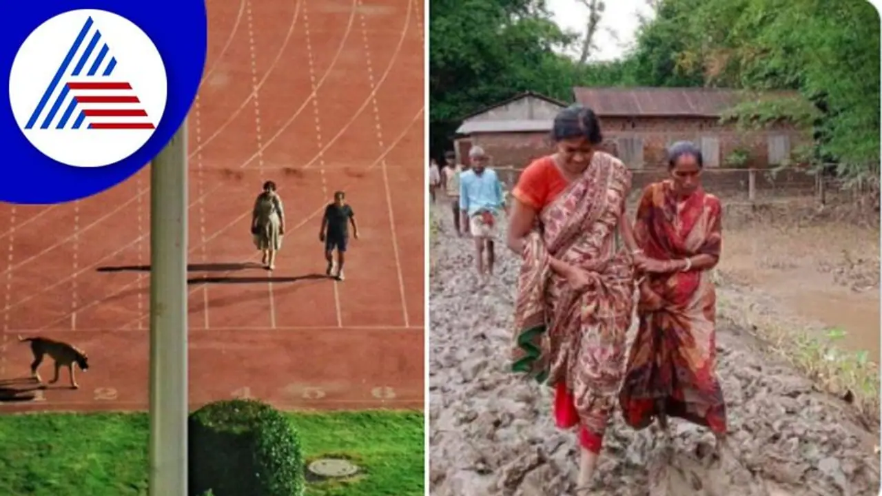 ಸ್ಟೇಡಿಯಂನಲ್ಲಿ ನಾಯಿ ಜೊತೆ ವಾಕಿಂಗ್ ಮಾಡಿದ ಅಧಿಕಾರಿ ಬೆನ್ನಲ್ಲೇ ವೈರಲ್ ಆಗ್ತಿದೆ ಈ ಮಹಿಳಾ IAS ಫೋಟೋ!