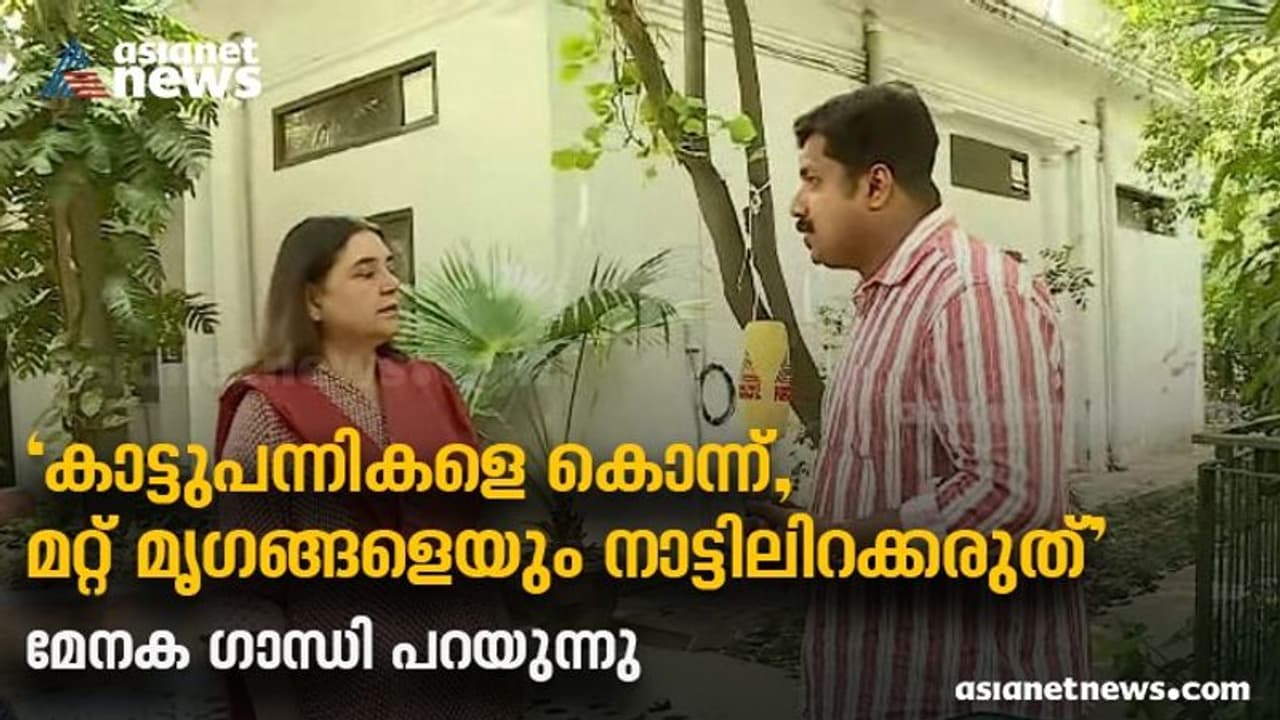 Maneka Gandhi :'വനമില്ലെങ്കില്‍ കേരളമില്ല, പ്രളയം നേരിട്ട കേരളത്തോട് കൂടുതൽ പറയണോ?' മേനക ഗാന്ധി സംസാരിക്കുന്നു