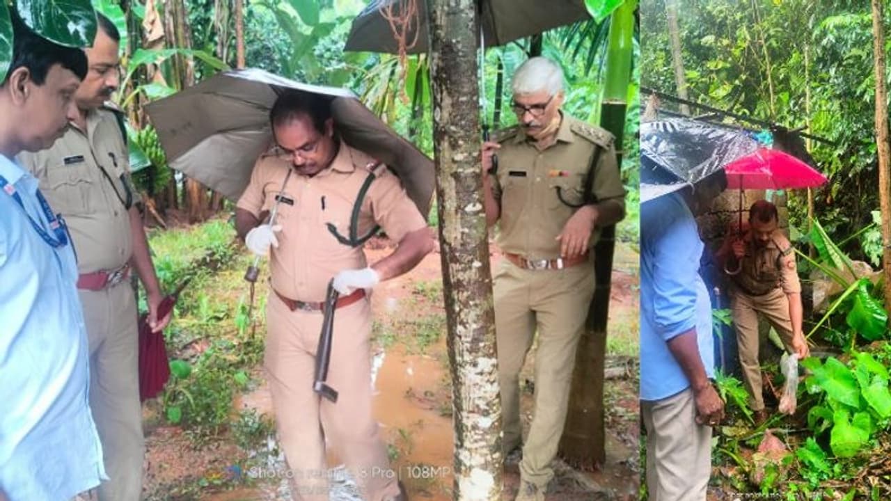 ഏഴു കിലോയോളം കാട്ടുപന്നിയുടെ ഇറച്ചിയും നാടൻ തോക്കും പിടികൂടി 