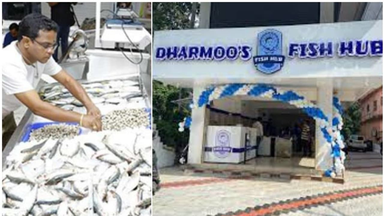 ധർമജന്റെ ഉടമസ്ഥതയിലുള്ള ധർമൂസ് ഫിഷ് ഹബ്ബിൽ പരിശോധന; 200 കിലോ പഴകിയ മീൻ പിടിച്ചെടുത്തു, പിഴയടക്കാൻ നോട്ടീസ് ധർമജന്റെ ഉടമസ്ഥതയിലുള്ള ധർമൂസ് ഫിഷ് ഹബ്ബിൽ പരിശോധന; 200 കിലോ പഴകിയ മീൻ പിടിച്ചെടുത്തു, പിഴയടക്കാൻ നോട്ടീസ്