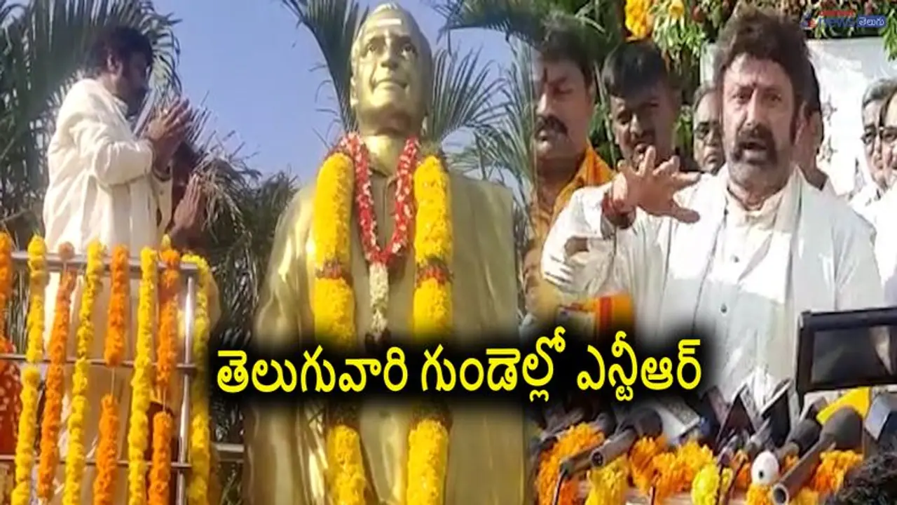 NTR Jayanti: ఒక్క తప్పిదం చేశారు.. ఇప్పుడున్న ప్రభుత్వం గుడిని, గుడిలో ఉన్న లింగాన్ని మింగే రకం: బాలకృష్ణ