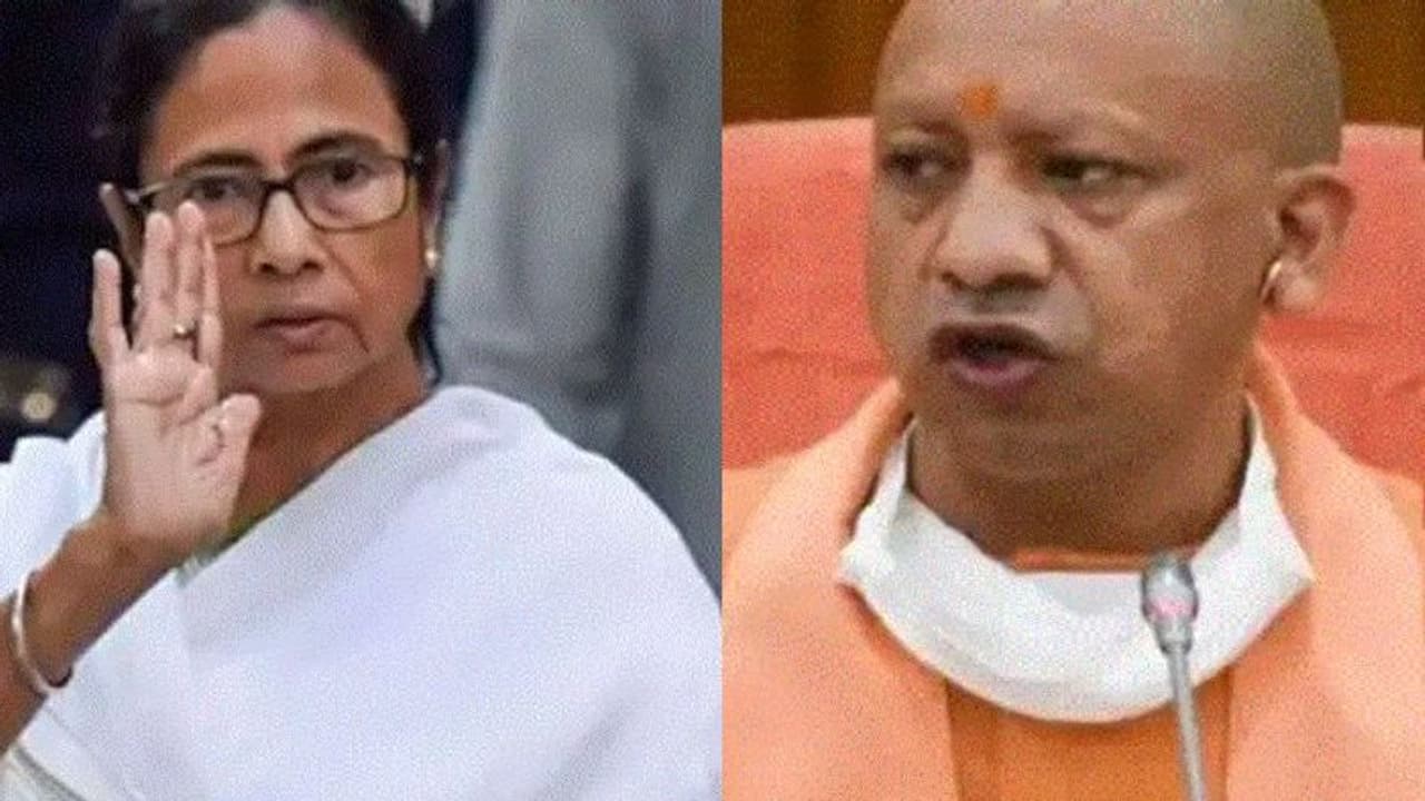 ভোট পরবর্তী হিংসা তুলে মমতাকে নিশানা যোগীর, পাল্টা 'প্রয়াগরাজ' কে সামনে দাঁড় করালেন কুণাল