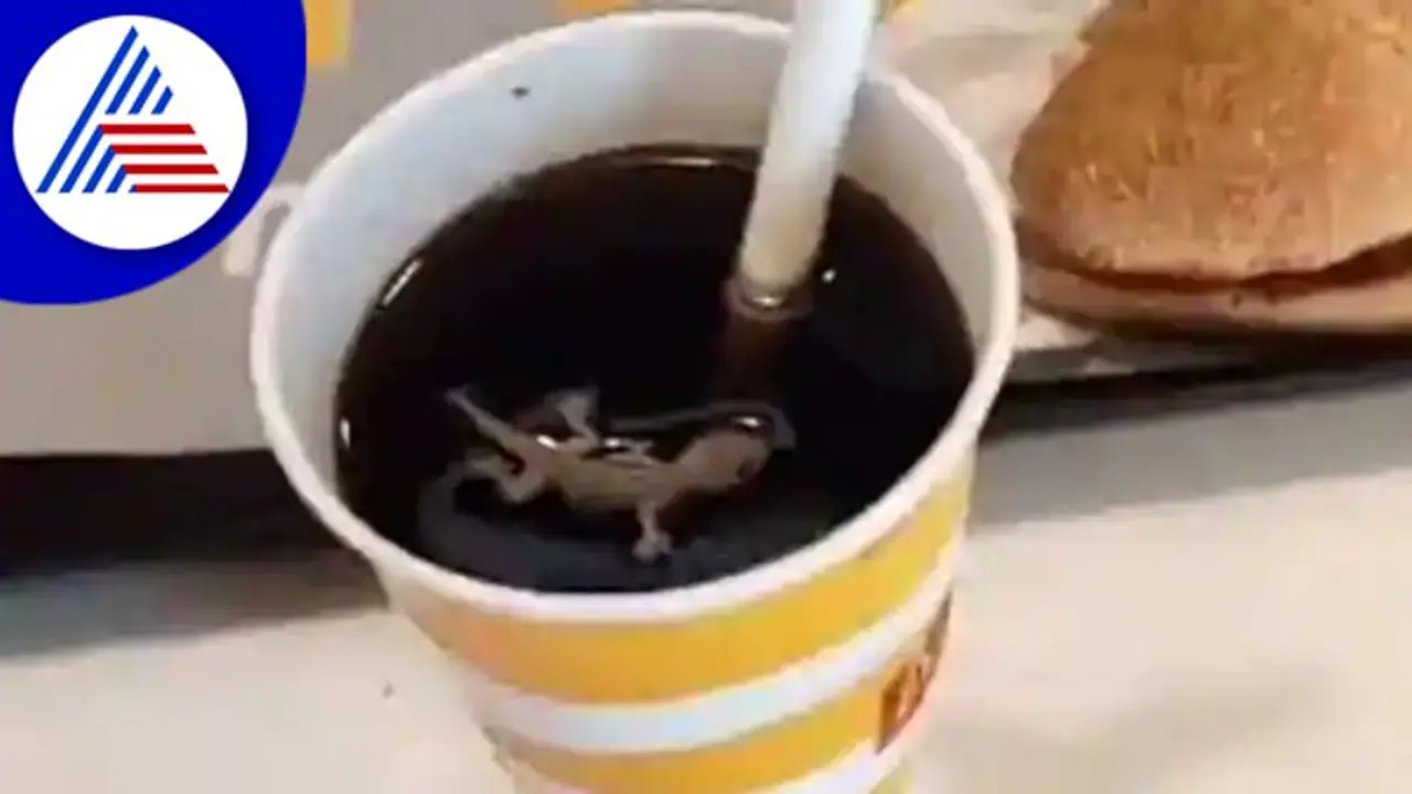 ಕೂಲ್ ಡ್ರಿಂಕ್ಸ್ ನಲ್ಲಿ ಸತ್ತ ಹಲ್ಲಿ, ಅಹಮದಾಬಾದ್ ಮೆಕ್ ಡೊನಾಲ್ಡ್ ಸೀಲ್ ಮಾಡಿದ ಅಧಿಕಾರಿಗಳು! ಕೂಲ್ ಡ್ರಿಂಕ್ಸ್ ನಲ್ಲಿ ಸತ್ತ ಹಲ್ಲಿ, ಅಹಮದಾಬಾದ್ ಮೆಕ್ ಡೊನಾಲ್ಡ್ ಸೀಲ್ ಮಾಡಿದ ಅಧಿಕಾರಿಗಳು!