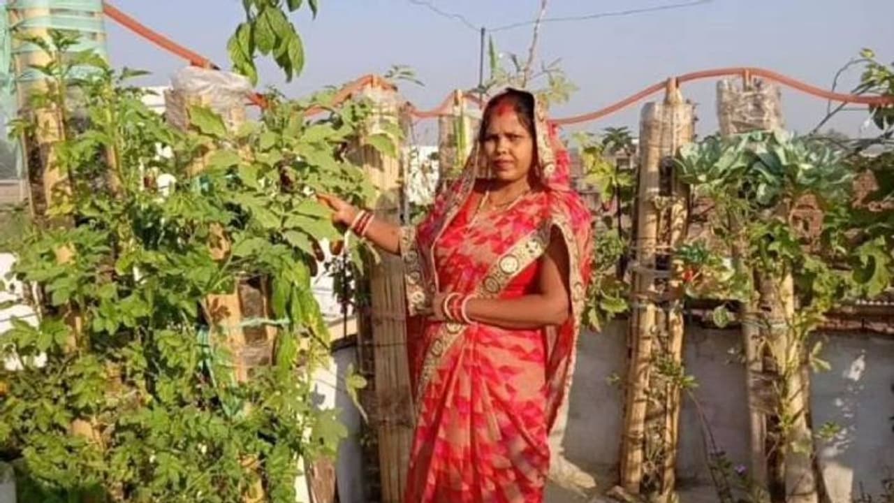 കൃഷി ചെയ്യാൻ പിവിസി പൈപ്പും മുളകളും തന്നെ ധാരാളം, വെർട്ടിക്കൽ ഗാർഡൻ ഇങ്ങനെ തയ്യാറാക്കാം കൃഷി ചെയ്യാൻ പിവിസി പൈപ്പും മുളകളും തന്നെ ധാരാളം, വെർട്ടിക്കൽ ഗാർഡൻ ഇങ്ങനെ തയ്യാറാക്കാം