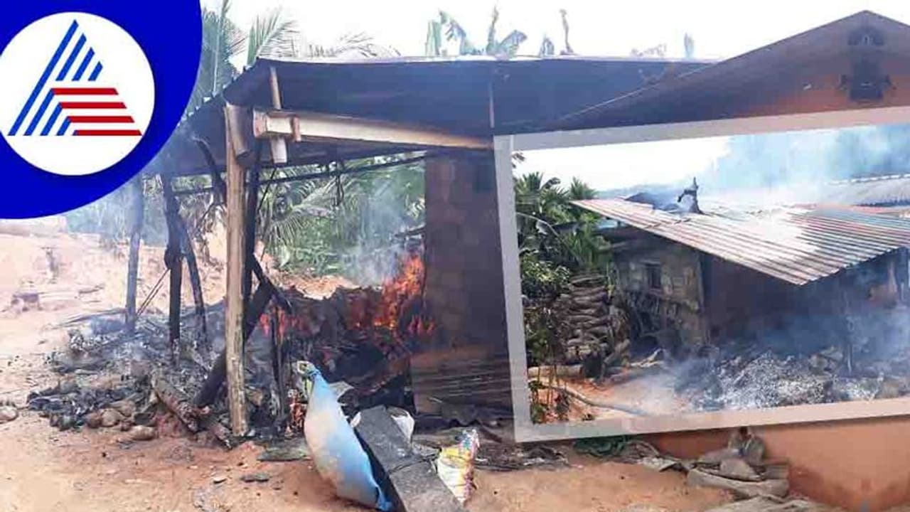 Chikkamagaluru; ಕೊಟ್ಟಿಗೆಗೆ ಬೆಂಕಿ, ಜಾನುವಾರುಗಳು ಸಜೀವ ದಹನ Chikkamagaluru; ಕೊಟ್ಟಿಗೆಗೆ ಬೆಂಕಿ, ಜಾನುವಾರುಗಳು ಸಜೀವ ದಹನ