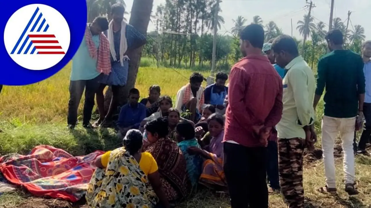 Davanagere: ಭತ್ತ ಕಟಾವು ಮಾಡುವಾಗ ತುಂಡಾಗಿ ಬಿದ್ದ ವಿದ್ಯುತ್ ತಂತಿ ತುಳಿದು ಯುವಕ ಸಾವು Davanagere: ಭತ್ತ ಕಟಾವು ಮಾಡುವಾಗ ತುಂಡಾಗಿ ಬಿದ್ದ ವಿದ್ಯುತ್ ತಂತಿ ತುಳಿದು ಯುವಕ ಸಾವು