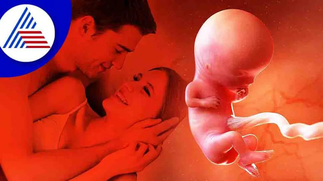 Planning For A Baby: ಬೇಗ ಗರ್ಭ ಧರಿಸಲು ಸುಲಭ ಉಪಾಯವಿದು