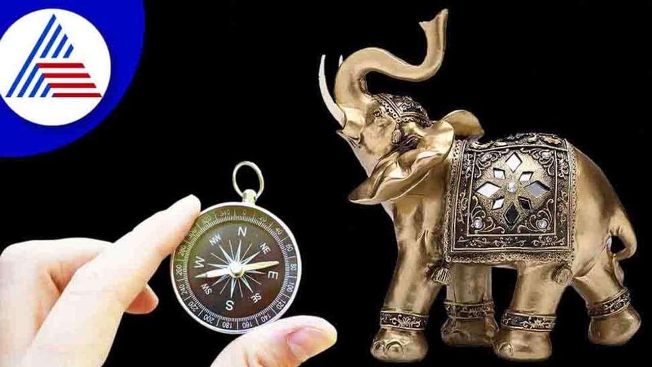 Vastu Tips: ಆನೆಯನ್ನು ಬಳಸಿ, ಮನೆಯ ಸಮೃದ್ಧಿ ನೆಮ್ಮದಿ ಹೆಚ್ಚಿಸುವುದು ಹೀಗೆ..