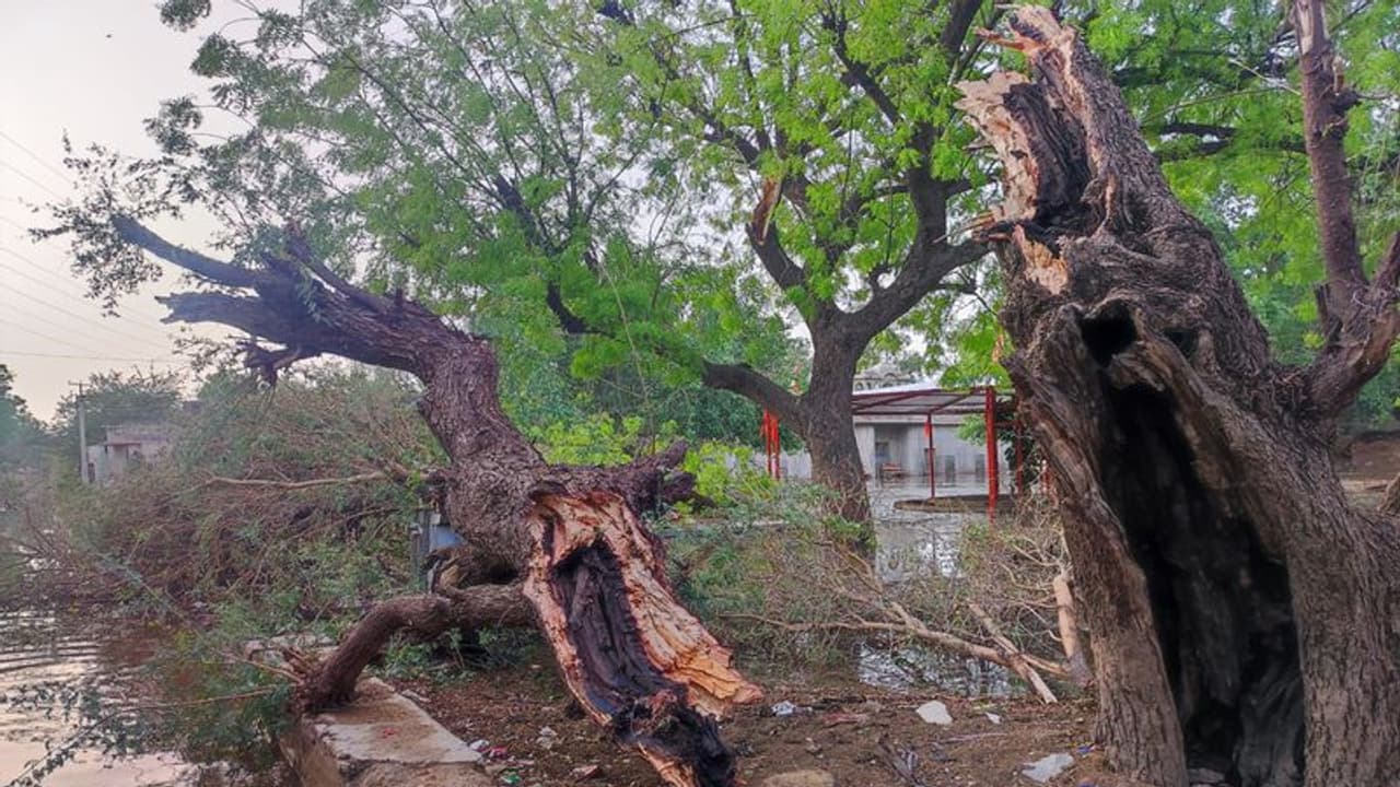 అస్సాంలో భీకర తుఫాను.. దెబ్బతిన్న 400 నివాసాలు.. ఇళ్లు కూలడంతో ఏడేళ్ల మృతి.. అస్సాంలో భీకర తుఫాను.. దెబ్బతిన్న 400 నివాసాలు.. ఇళ్లు కూలడంతో ఏడేళ్ల మృతి..