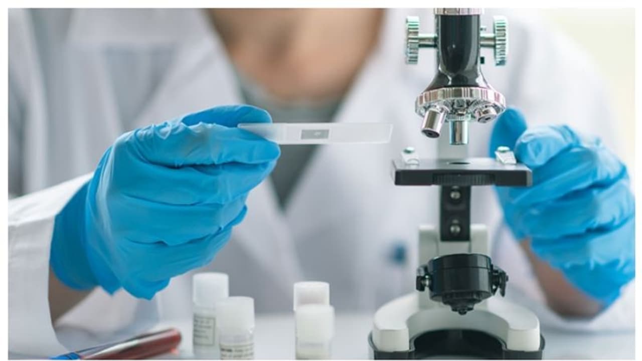 ഇന്ത്യക്കാരുടെ വംശശുദ്ധി പഠിക്കാൻ കേന്ദ്ര സാംസ്കാരിക മന്ത്രാലയം ഇന്ത്യക്കാരുടെ വംശശുദ്ധി പഠിക്കാൻ കേന്ദ്ര സാംസ്കാരിക മന്ത്രാലയം