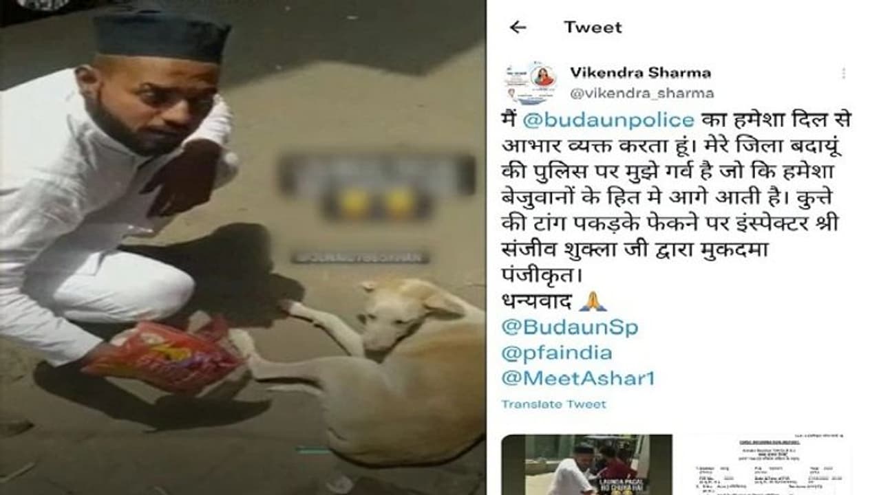 ईद पर घर आए जुनैद ने कुत्ते के साथ की क्रूरता, वीडियो वायरल होने के बाद दर्ज हुआ मुकदमा ईद पर घर आए जुनैद ने कुत्ते के साथ की क्रूरता, वीडियो वायरल होने के बाद दर्ज हुआ मुकदमा