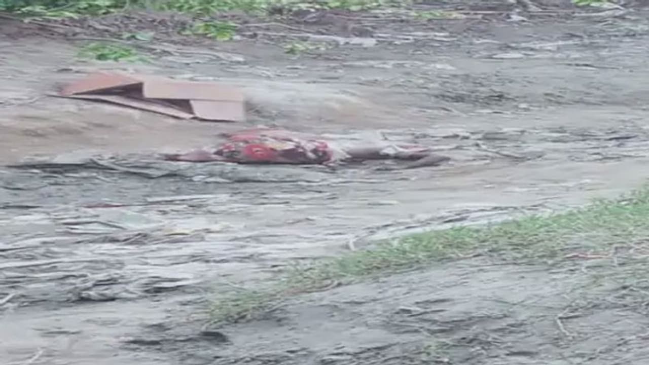 लखनऊ के जंगल में मिली सिर कटी लाश, हत्या के बाद शव फेंकने की आशंका लखनऊ के जंगल में मिली सिर कटी लाश, हत्या के बाद शव फेंकने की आशंका