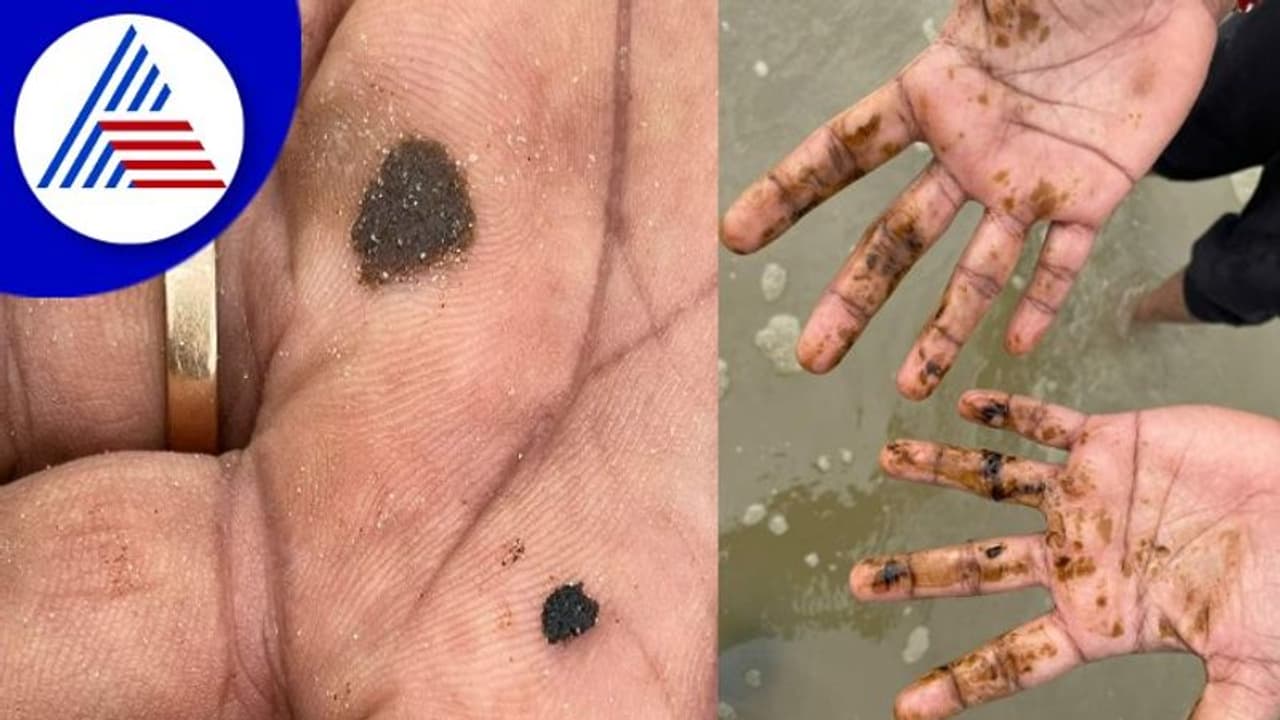 Udupi; ಕಡಲಿನ ಒಡಲಿಂದ ಬರುತ್ತಿದೆ ಜಿಡ್ಡು,ಮತ್ಸ್ಯ ಸಂತತಿ ನಾಶದ ಭೀತಿ