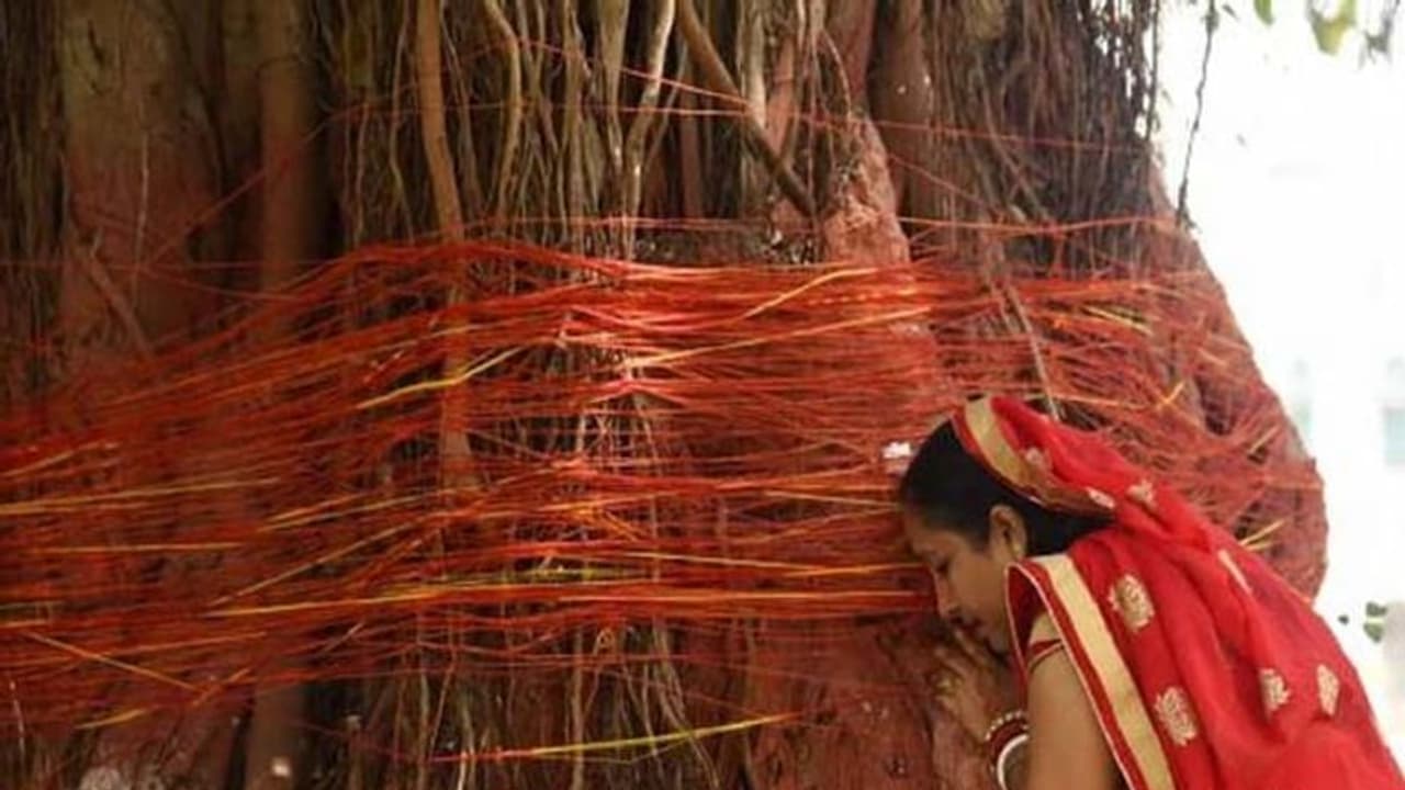 Vat Savitri Vrat 2022: आज शुभ मुहूर्त में करें वट सावित्री व्रत की पूजा, इस दिन सुनें सावित्री सत्यवान की कथा