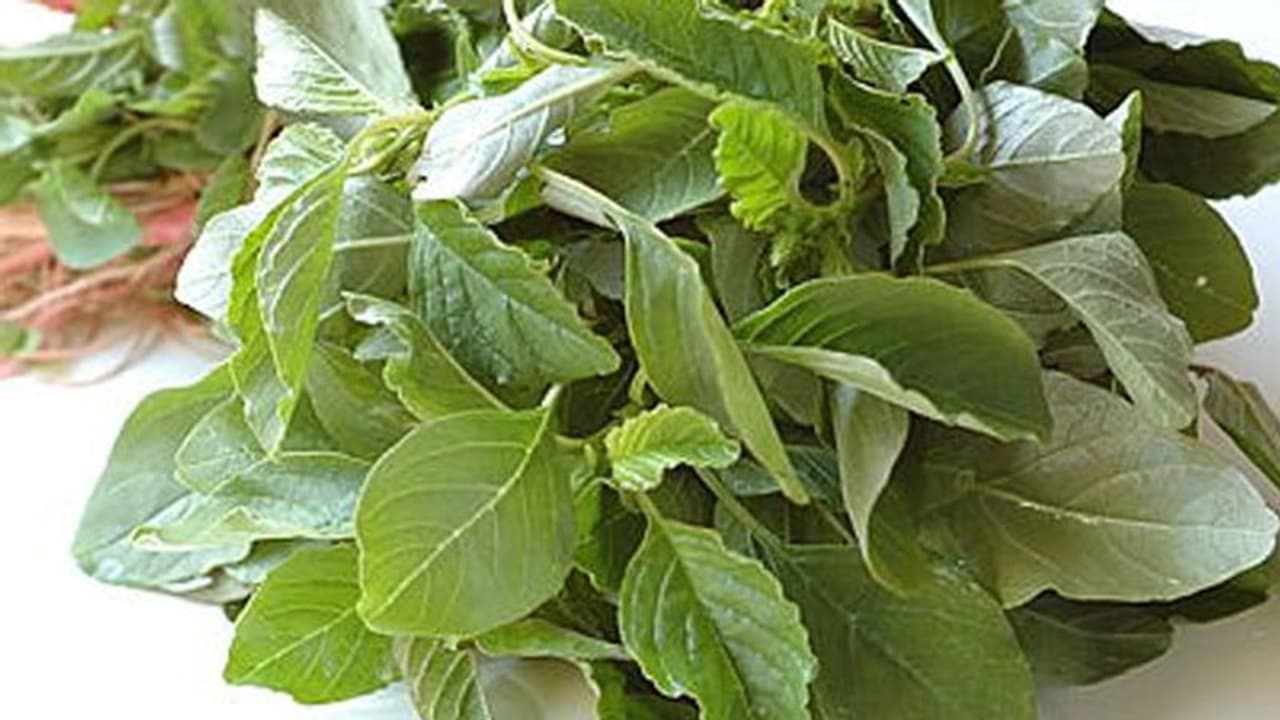 മഴയുള്ളപ്പോള് ഇലക്കറികള് കഴിക്കാൻ പാടില്ലേ? ചീരയും മുരിങ്ങയുമൊക്കെ ഒഴിവാക്കണോ? മഴയുള്ളപ്പോള് ഇലക്കറികള് കഴിക്കാൻ പാടില്ലേ? ചീരയും മുരിങ്ങയുമൊക്കെ ഒഴിവാക്കണോ?