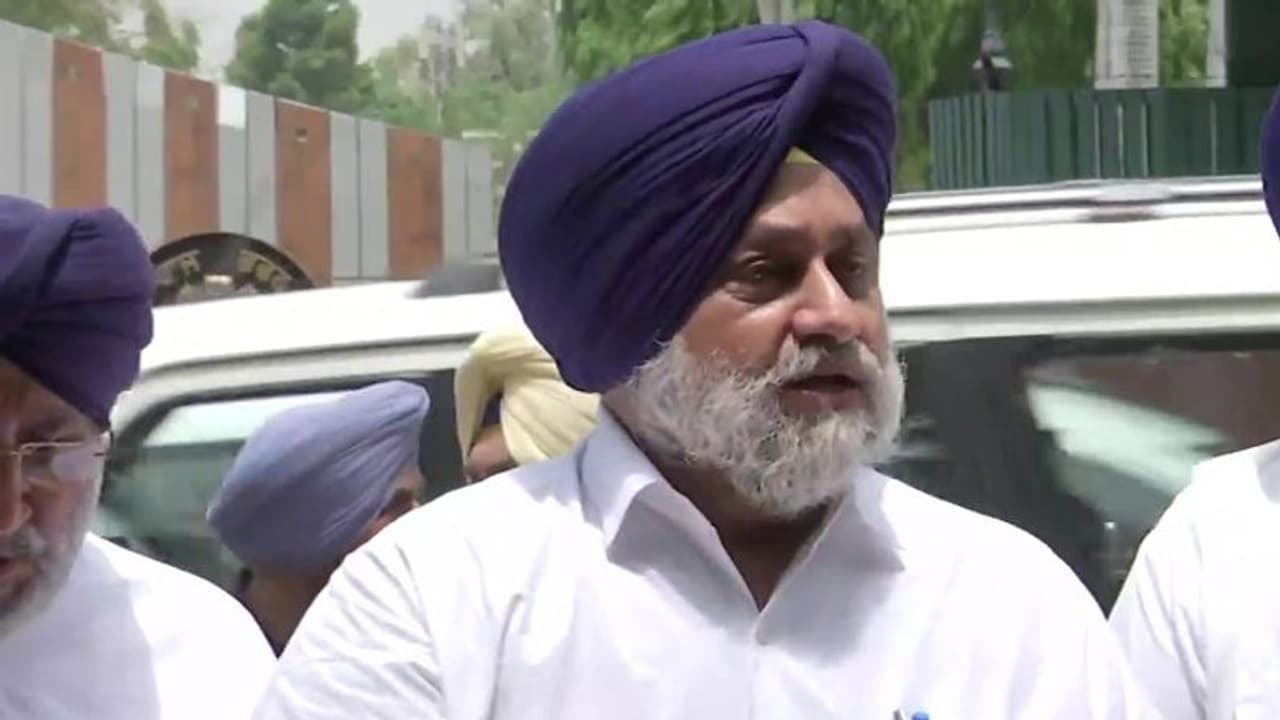 Sidhu Moosewala Murder: कांग्रेस ने किया विरोध प्रदर्शन, सुखबीर बादल ने की NIA जांच की मांग, कहा मान नहीं CM Sidhu Moosewala Murder: कांग्रेस ने किया विरोध प्रदर्शन, सुखबीर बादल ने की NIA जांच की मांग, कहा मान नहीं CM