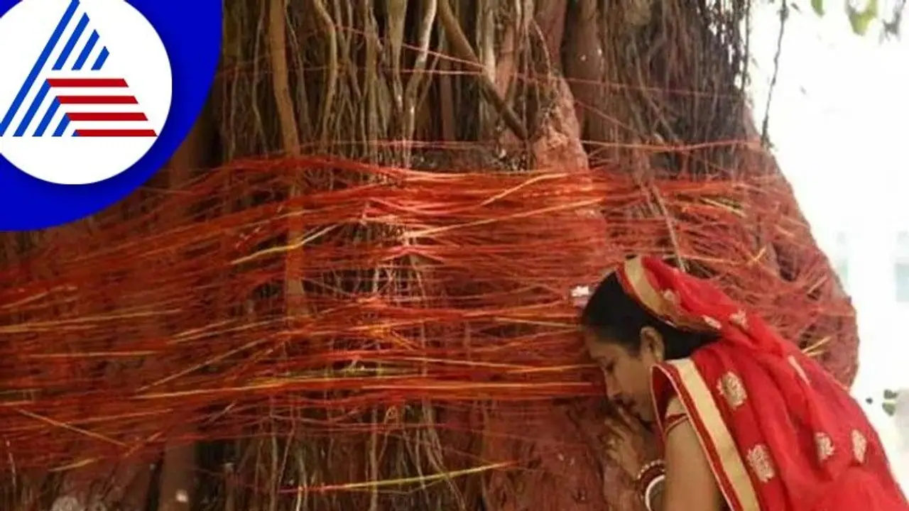 Vat Savitri Puja 2022: ಮಹಿಳೆಯರು ಆಲದ ಮರಕ್ಕೆ ಪೂಜಿಸೋದರ ಹಿಂದಿದೆ ವಿಶೇಷ ಕಾರಣ..