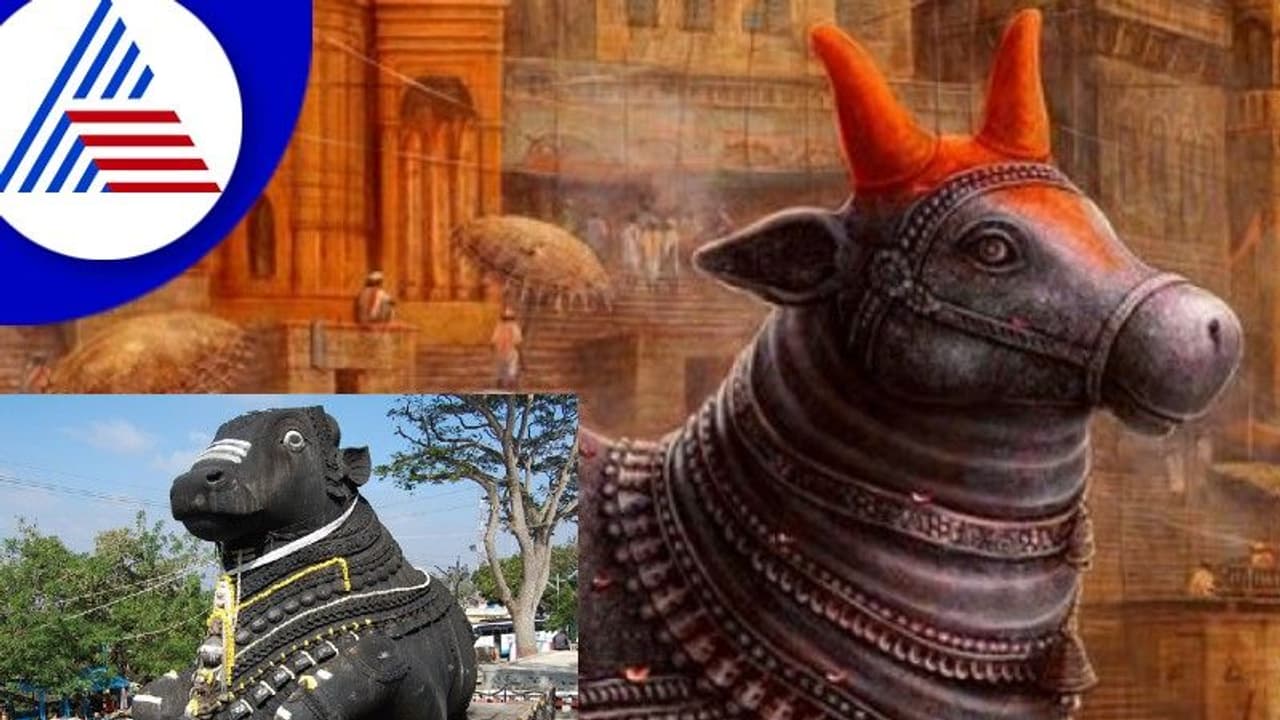 ನಂದಿಯ ಕಿವಿಯಲ್ಲಿ ಹೇಳೋ ಆಶಯ ಈಡೇರುತ್ತೆ ನಿಜ, ಆದ್ರೆ ನಿಯಮಗಳು ಗೊತ್ತಾ? ನಂದಿಯ ಕಿವಿಯಲ್ಲಿ ಹೇಳೋ ಆಶಯ ಈಡೇರುತ್ತೆ ನಿಜ, ಆದ್ರೆ ನಿಯಮಗಳು ಗೊತ್ತಾ?