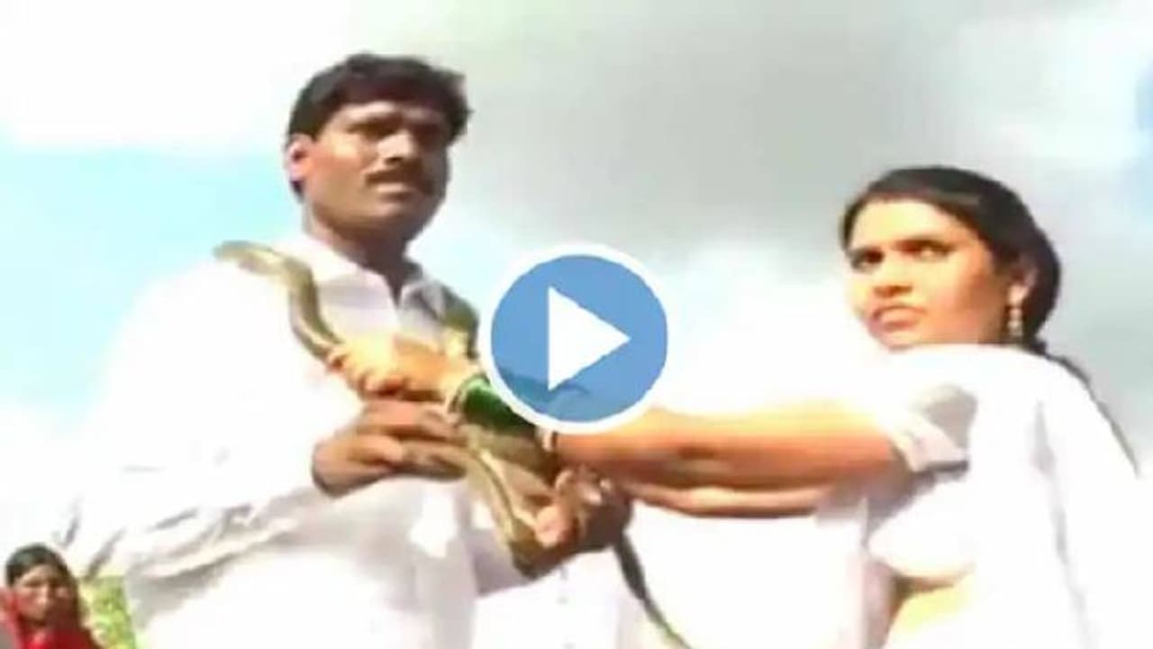 ഹാരത്തിന് പകരമായി പാമ്പുകൾ, വ്യത്യസ്തമായി വിവാഹം, വൈറലായി വീഡിയോ ഹാരത്തിന് പകരമായി പാമ്പുകൾ, വ്യത്യസ്തമായി വിവാഹം, വൈറലായി വീഡിയോ