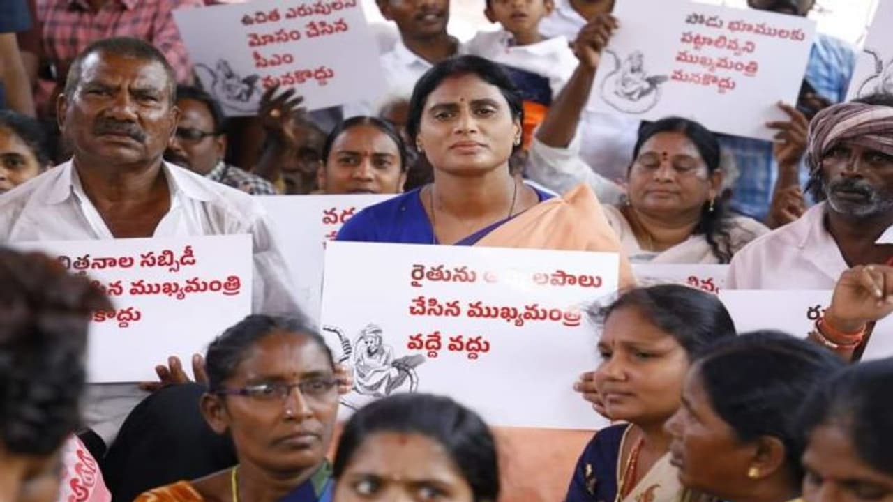 ఇప్పటికీ కేసీఆర్ కే ఓటేసారో... మీ బిడ్డలే మిమ్మల్ని క్షమించరు: రైతు గోస ధర్నాలో షర్మిల ఇప్పటికీ కేసీఆర్ కే ఓటేసారో... మీ బిడ్డలే మిమ్మల్ని క్షమించరు: రైతు గోస ధర్నాలో షర్మిల