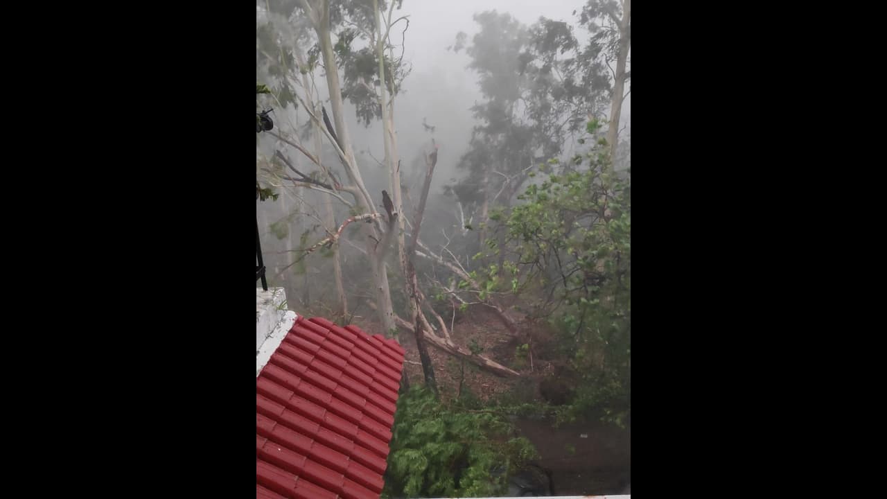 ఉమ్మడి మహబూబ్నగర్ జిల్లాలో వాన బీభత్సం.. పిడుగుపాట్లకు ముగ్గురు మృతి ఉమ్మడి మహబూబ్నగర్ జిల్లాలో వాన బీభత్సం.. పిడుగుపాట్లకు ముగ్గురు మృతి